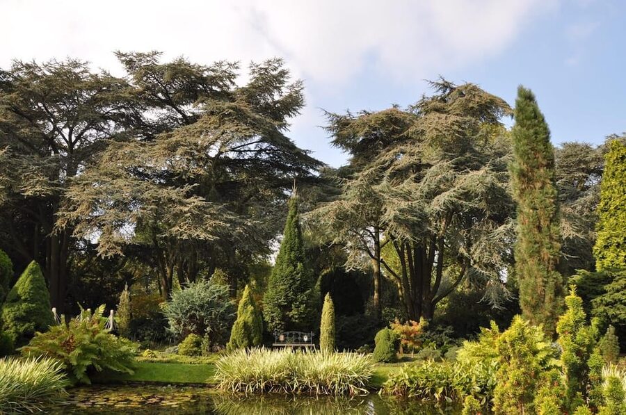 Rotterdam: Trompenburg Botanical Gardens Entry Ticket - What $15 gets you