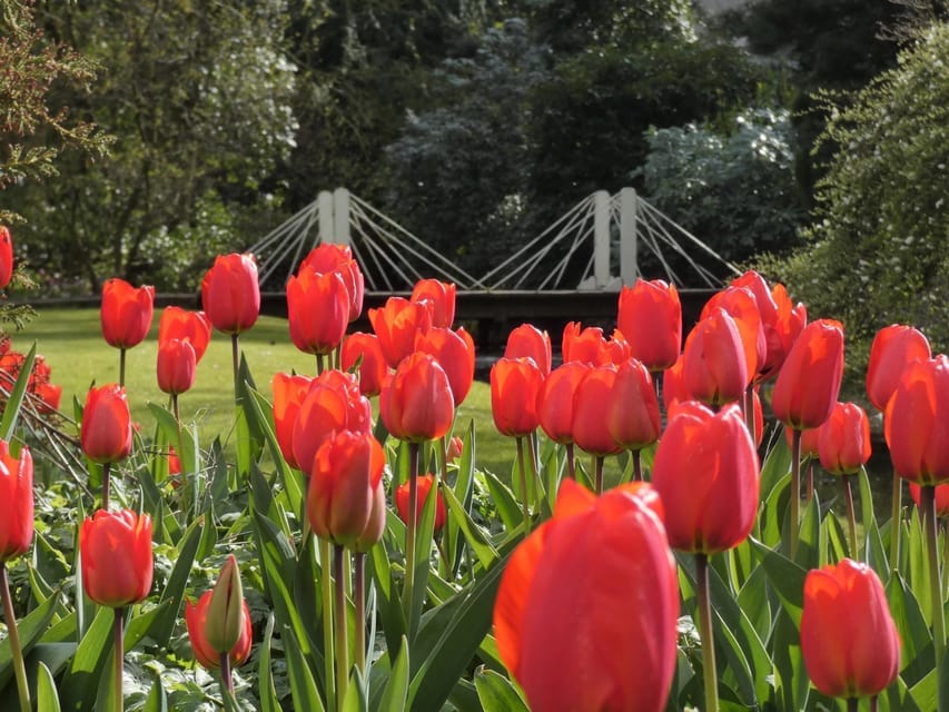 Rotterdam: Trompenburg Botanical Gardens Entry Ticket - Who will enjoy Trompenburg most
