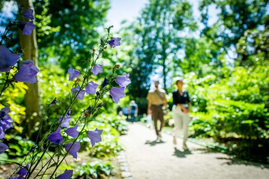 Rotterdam: Trompenburg Botanical Gardens Entry Ticket - Should you book Trompenburg Gardens?