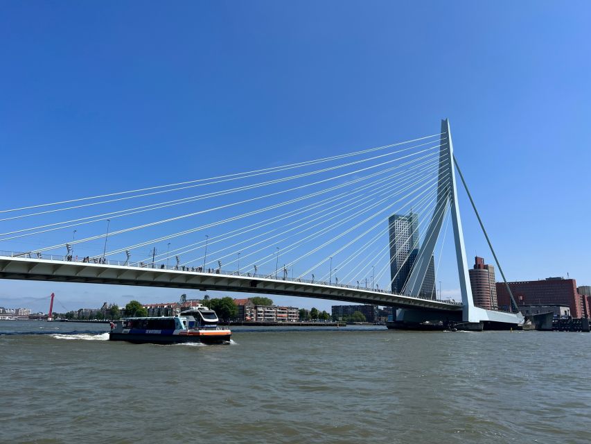 Rotterdam: Waterbus Ticket to Dordrecht and/or Kinderdijk - Combining Kinderdijk and Dordrecht in one day