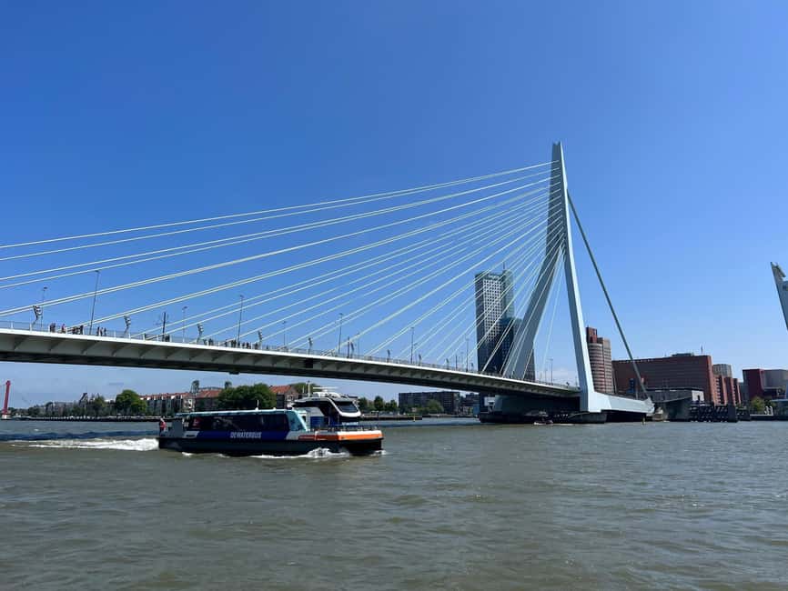 Rotterdam: Waterbus Ticket to Dordrecht and/or Kinderdijk - Boarding at Erasmusbrug and finding the right dock