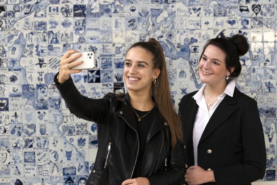 Royal Delft: Delftblue Factory and Museum - Who will enjoy Royal Delft most?