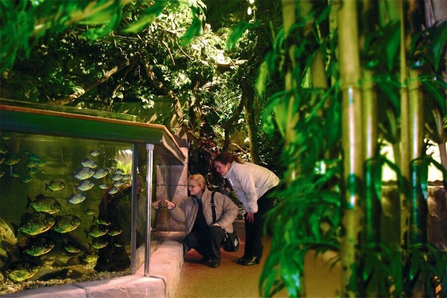 Scheveningen, The Hague: Sea Life Entry Ticket - Key points to know before you go