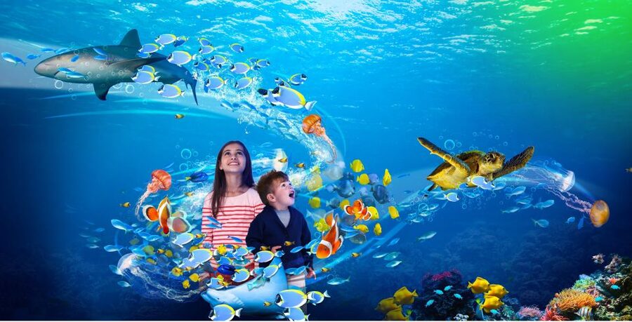 Scheveningen, The Hague: Sea Life Entry Ticket - Penguin time and otter Max