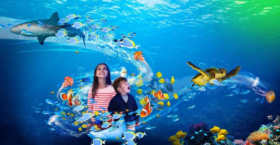 Scheveningen, The Hague: Sea Life Entry Ticket - Catching a feeding session