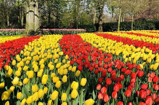 Skip-the-Line Keukenhof Gardens and Tulip Fields Tour from Amsterdam - Should you book the Keukenhof tour?