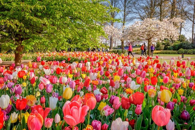 Skip-the-Line Keukenhof Gardens and Tulip Fields Tour from Amsterdam - Entering Keukenhof without the regular line