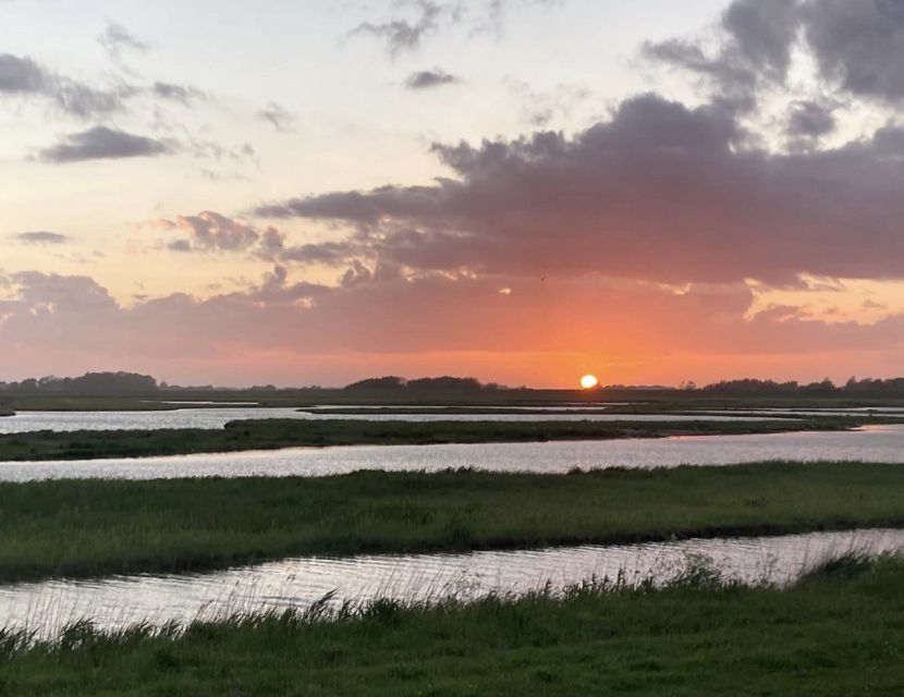 Small group full day island tour to Texel from Amsterdam - Six hours across Texel