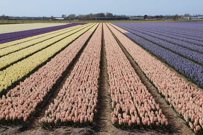 Small Group Keukenhof and Delft Guided Tour from Amsterdam - Delft brings canals and old-town character