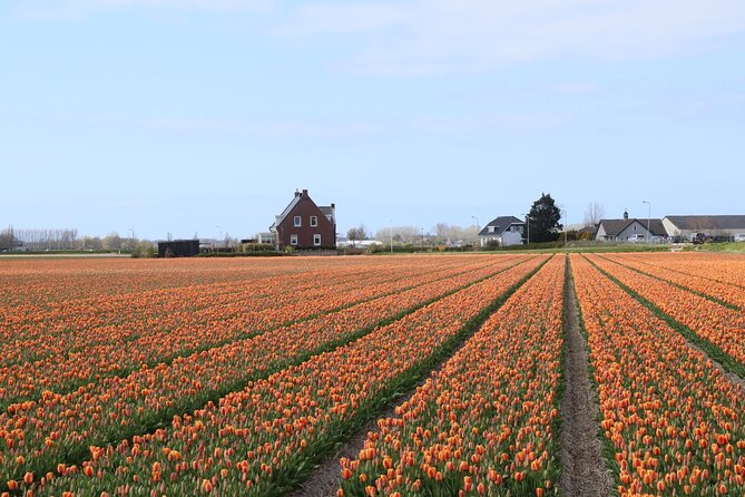 Small Group Keukenhof and Delft Guided Tour from Amsterdam - Delftware makes the pottery stop worthwhile
