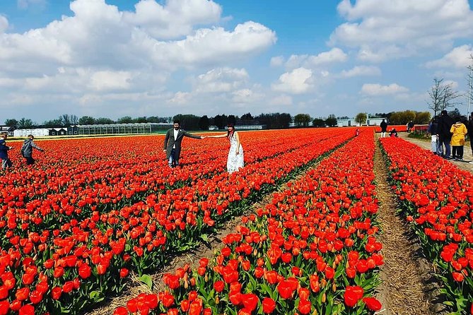 Small Group Keukenhof and Delft Guided Tour from Amsterdam - What the small group really means