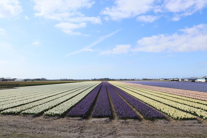 Small Group Keukenhof and Delft Guided Tour from Amsterdam - Value at $191.88 per person