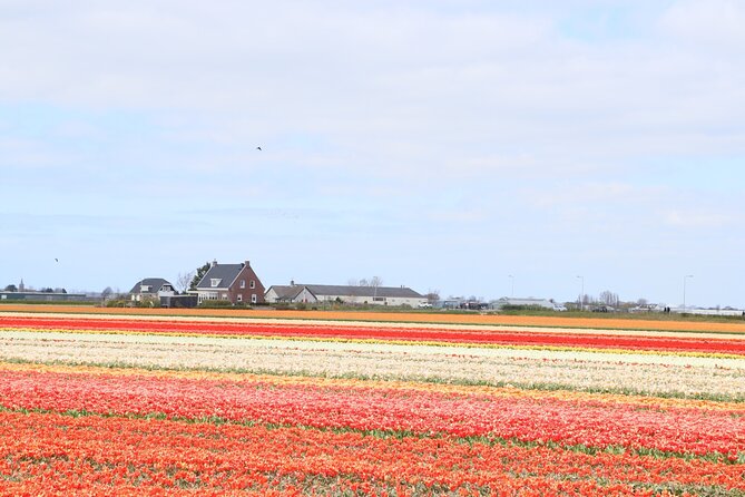 Small Group Keukenhof and Delft Guided Tour from Amsterdam - Meeting point, timing, and practical concerns