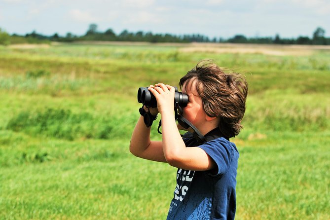 Small Group Tour to NP Hoge Veluwe (van Gogh) from Amsterdam - Food, weather, and the practical details