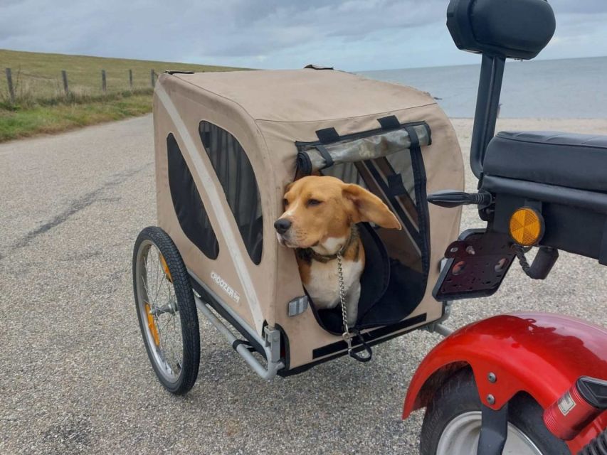 Texel: E-Scooter Rental - Key points for your Texel ride