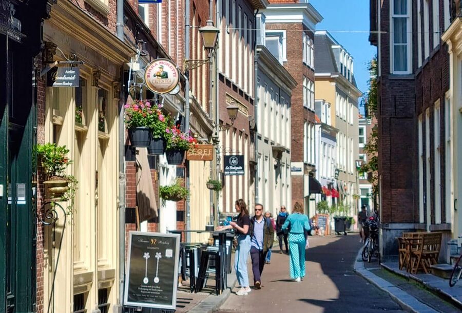 The Hague: City Walking Tour - Lange Voorhout and the royal side of the city