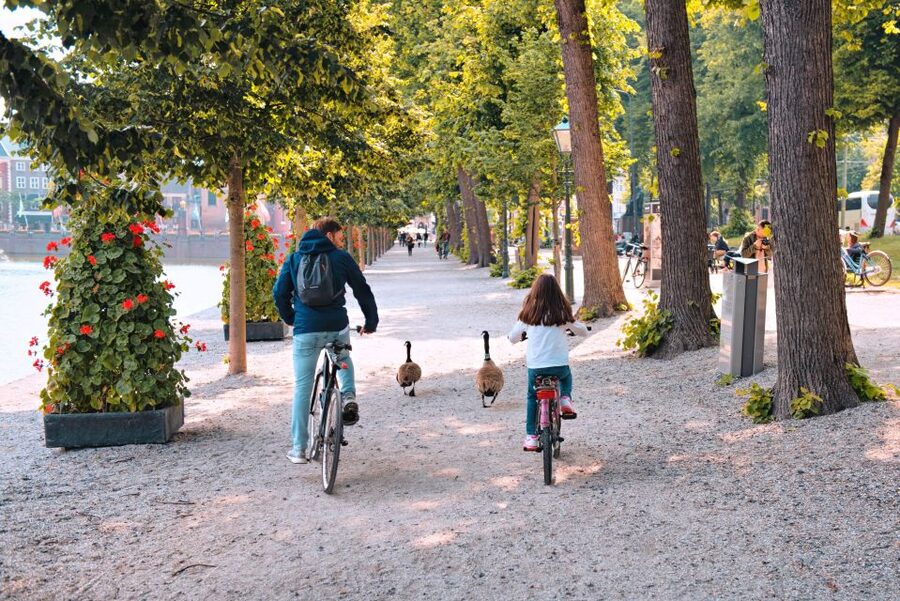 The Hague: Highlights Bike Tour - The Peace Palace and The Hague’s international role