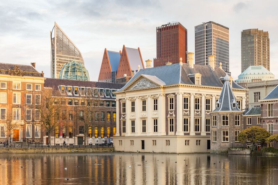 The Hague: Mauritshuis Entrance Ticket - Accessibility and small practical details