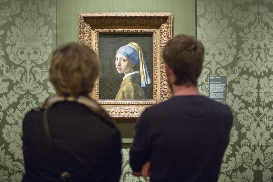 The Hague: Mauritshuis Entrance Ticket - Rembrandt, Fabritius, and the other must-see paintings