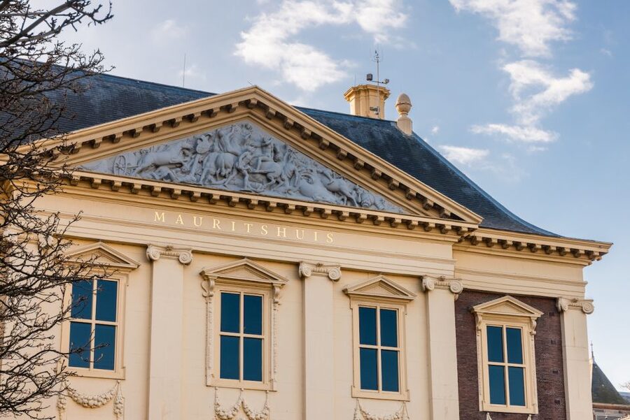 The Hague: Mauritshuis Entrance Ticket - A practical 90-minute route through the museum