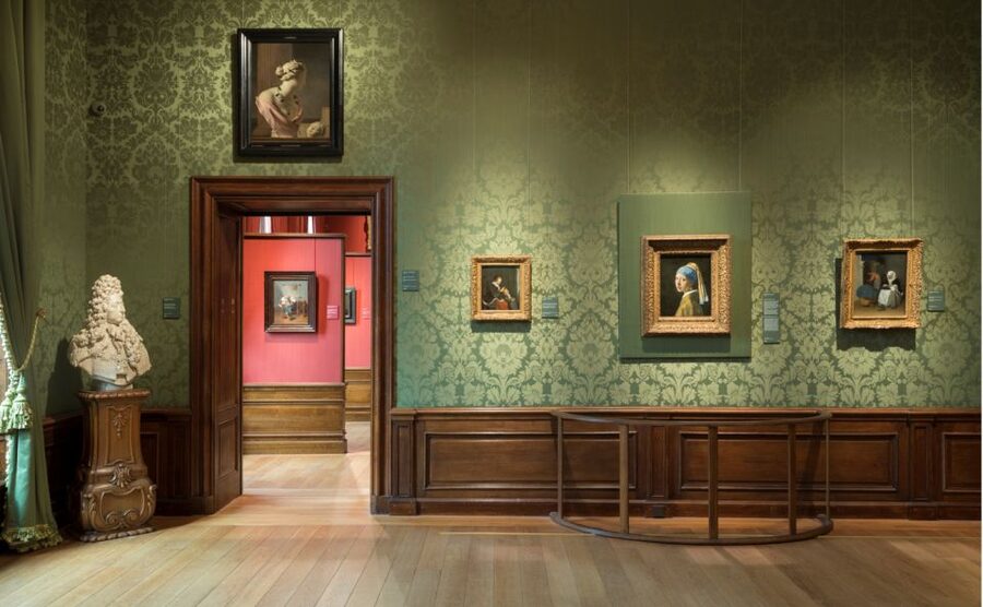 The Hague: Mauritshuis Entrance Ticket - The 2026 BIRDS exhibition