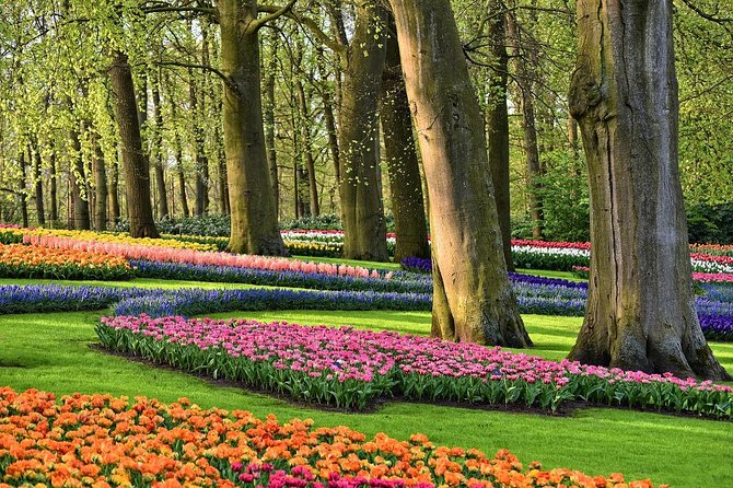 Tour to Giethoorn and Keukenhof Tulip Fields from Amsterdam - Keukenhof: the main event in two hours