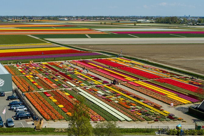 Tour to Giethoorn and Keukenhof Tulip Fields from Amsterdam - Who should book this tour?