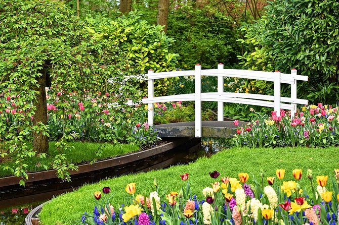 Tour to Giethoorn and Keukenhof Tulip Fields from Amsterdam - Tulip Experience Amsterdam: flowers with a working side