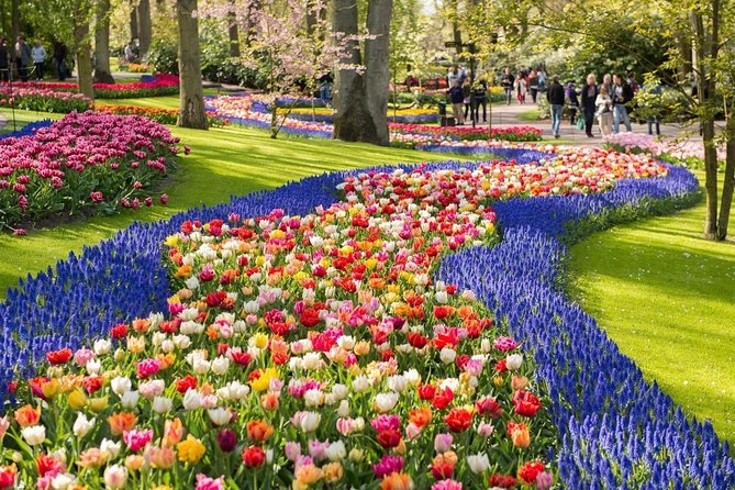 Tulip Experience and Keukenhof Flower Gardens Tour from Amsterdam - Why This Private Tulip Day Works