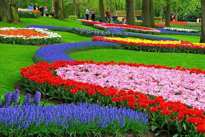 Tulip Experience and Keukenhof Flower Gardens Tour from Amsterdam - The Best and Worst Times to Visit