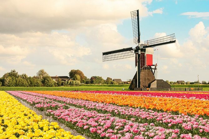Tulip Experience and Keukenhof Flower Gardens Tour from Amsterdam - Tulip Experience Amsterdam: From Kazakhstan to Dutch Fields