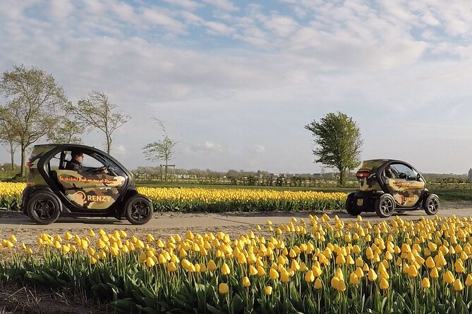 Tulip Fields near Keukenhof - Self-Drive Audio Tour for 2 People - What you are really booking near Keukenhof