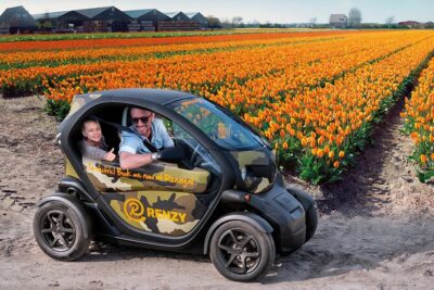 Tulip Fields near Keukenhof – Self-Drive Audio Tour for 2 People