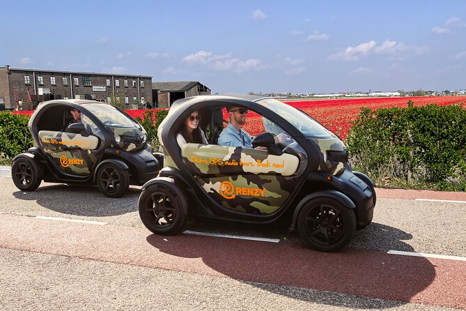 Tulip Fields near Keukenhof - Self-Drive Audio Tour for 2 People - Who will enjoy this, and who may not