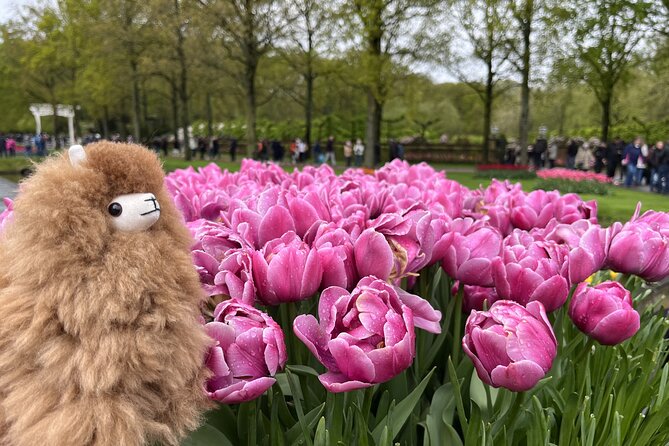 Tulip Paradise: Keukenhof Half-Day Private Tour - Booking details worth keeping in mind