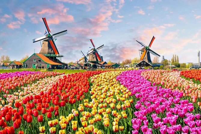 Tulip Paradise: Keukenhof Half-Day Private Tour - Four hours inside Keukenhof Gardens