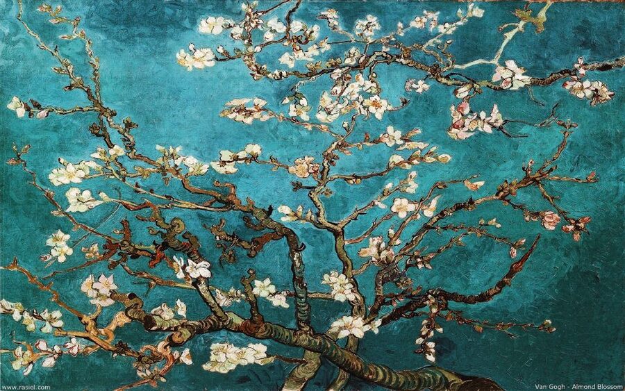 Van Gogh & Rijksmuseum Masterpieces Guided Tour 8 guests 5h - Who Should Book This Museum Tour?