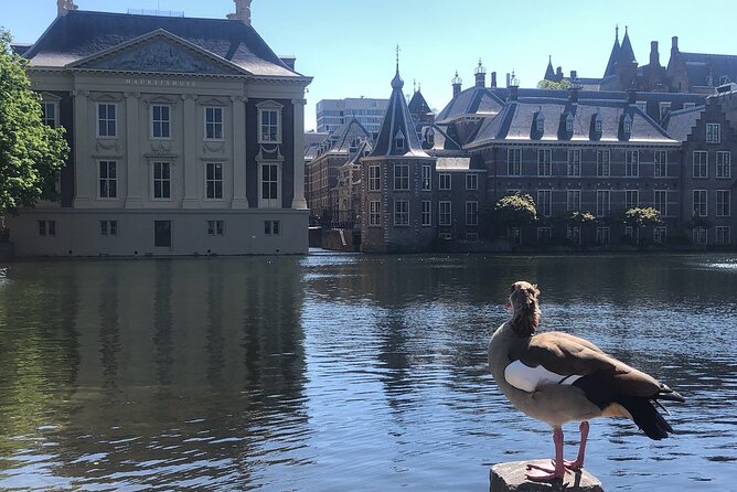 Visit the Girl with the Pearl Earring, The Hague & Delft City - Inside the Mauritshuis in The Hague