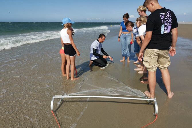 Zeeland Beach safari with Fishnet NL/DE - Turning a Zeeland beach into a living classroom